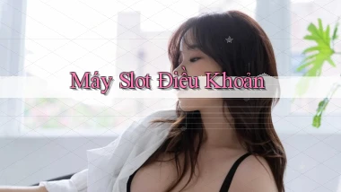 Máy slot Điều khoản