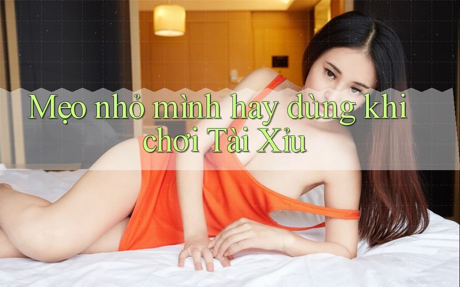 Mẹo nhỏ mình hay dùng khi chơi tài xỉu Mẹo nhỏ mình hay dùng khi chơi tài xỉu
