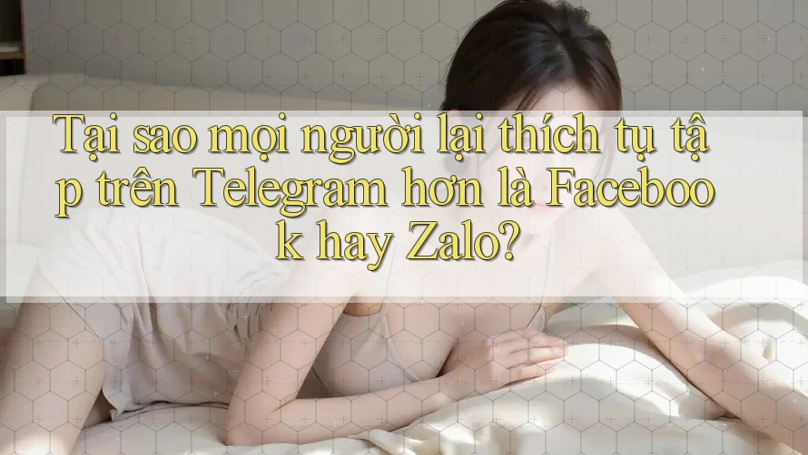 Tại sao mọi người lại thích tụ tập trên Telegram hơn là Facebook hay Zalo? Tại sao mọi người lại thích tụ tập trên Telegram hơn là Facebook hay Zalo?
