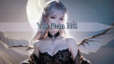 vip Phản hồi